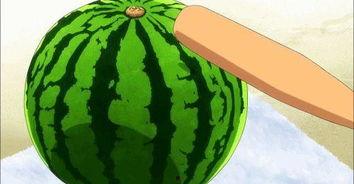 带你吃瓜 重庆,带你吃遍山城特色瓜果飘香