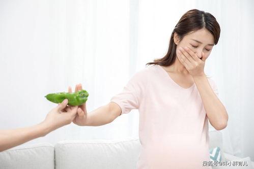 孕妇孕吐吃瓜,孕妇孕吐吃瓜攻略