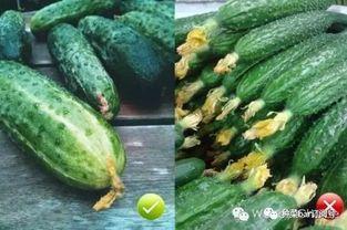 顶顶吃大瓜,揭秘娱乐圈幕后故事