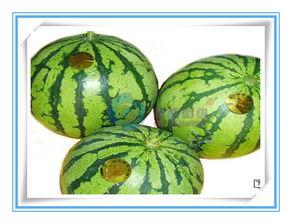 吃瓜用什么标签形容,揭秘吃瓜群众的标签魅力