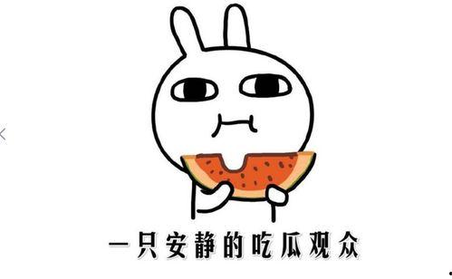 抖音吃瓜网,揭秘网红圈幕后故事，带你领略网络红人真实生活