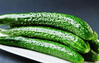 吃大瓜植物,探寻“吃大瓜”植物的神奇魅力