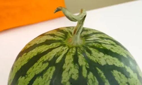 瓜打开不甜怎么吃