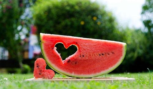 树下吃瓜的诗词