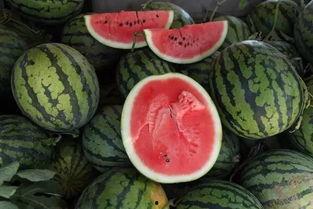 吃瓜在墙趴着,揭秘网络热议背后的真相